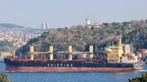 Росія постачає ймовірно викрадене українське зерно єменським хуситам – Bellingcat штаб інфо