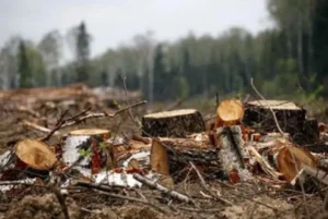 shtab_info news sosny