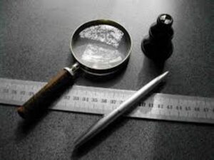 Борзих_судовий експерт штаб інфо