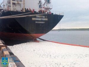 Забруднення моря пальмовою олією