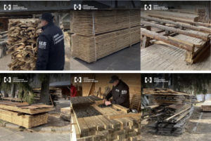 Підприємець з Чернігівщини намагався нелегально експортувати деревину до Європи