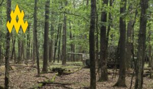 Партизани «АТЕШ» зірвали наступ під Вовчанськом