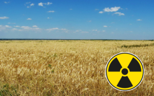 У Чорнобильській зоні незаконно вирощували урожай понад п’ять років —ОГП