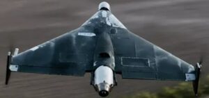 герань-4