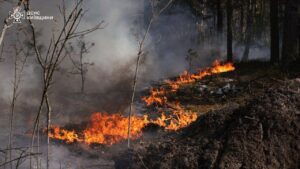 Пожежа в Чорнобильській зоні
