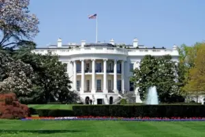Суд у США дозволив провести бої біля Білого дому до 80-річчя Трампа білий дім