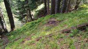 За 3,5 км від кордону з Румунією в горах знайшли тіло чоловіка: що відомо