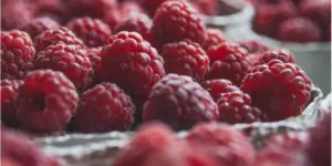 В Україні збільшуються площі насаджень малини та смородини малина