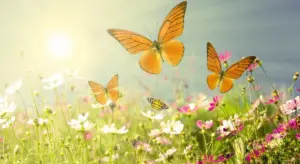 16 червня 2026 року — яке сьогодні свято, прикмети та церковні традиції