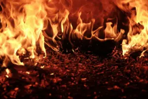 Поблизу Афін спалахнула масштабна лісова пожежа: до гасіння залучили понад 100 рятувальників