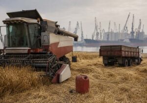 Удари по НПЗ загрожують експорту зерна рф — Reuters Комбайн без пального на тлі зернового порту Азовського моря