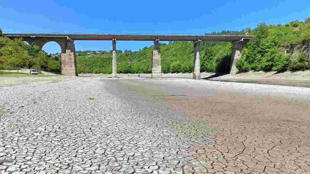 Критично низький рівень води в Дністрі через посуху