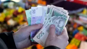 У Мінагрополітики спрогнозували, наскільки можуть подорожчати продукти через удари РФ