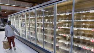 У Франції хакери вивели з ладу холодильники сотень супермаркетів: продукти зіпсувалися