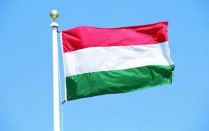 Мери 11 угорських міст і районів закликали допомогти Україні підготуватися до зими
